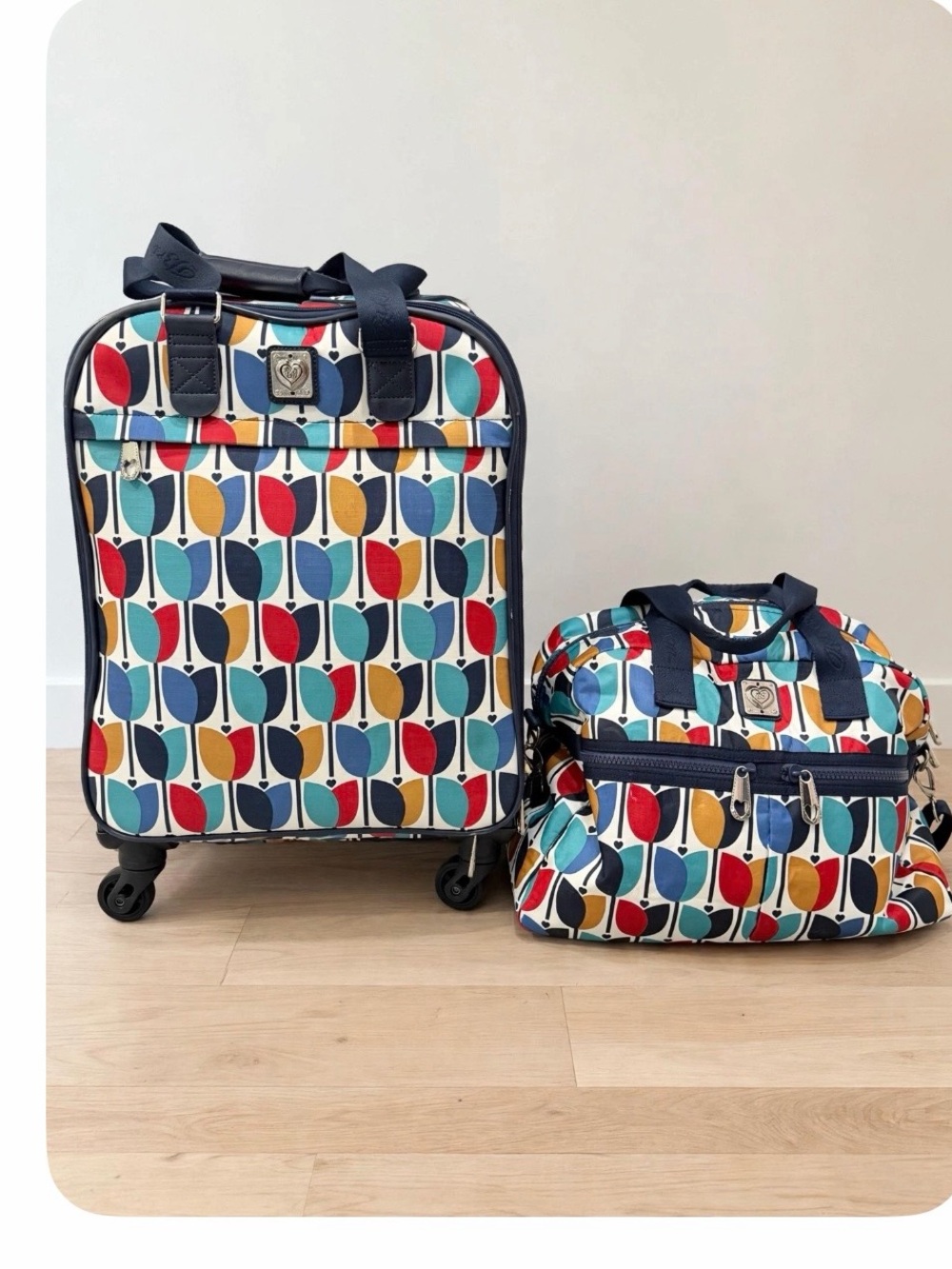 Brighton  Carry-On Luggage & Travel Bag Set in Multi Color